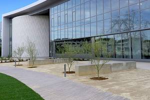 School of Business and Technology