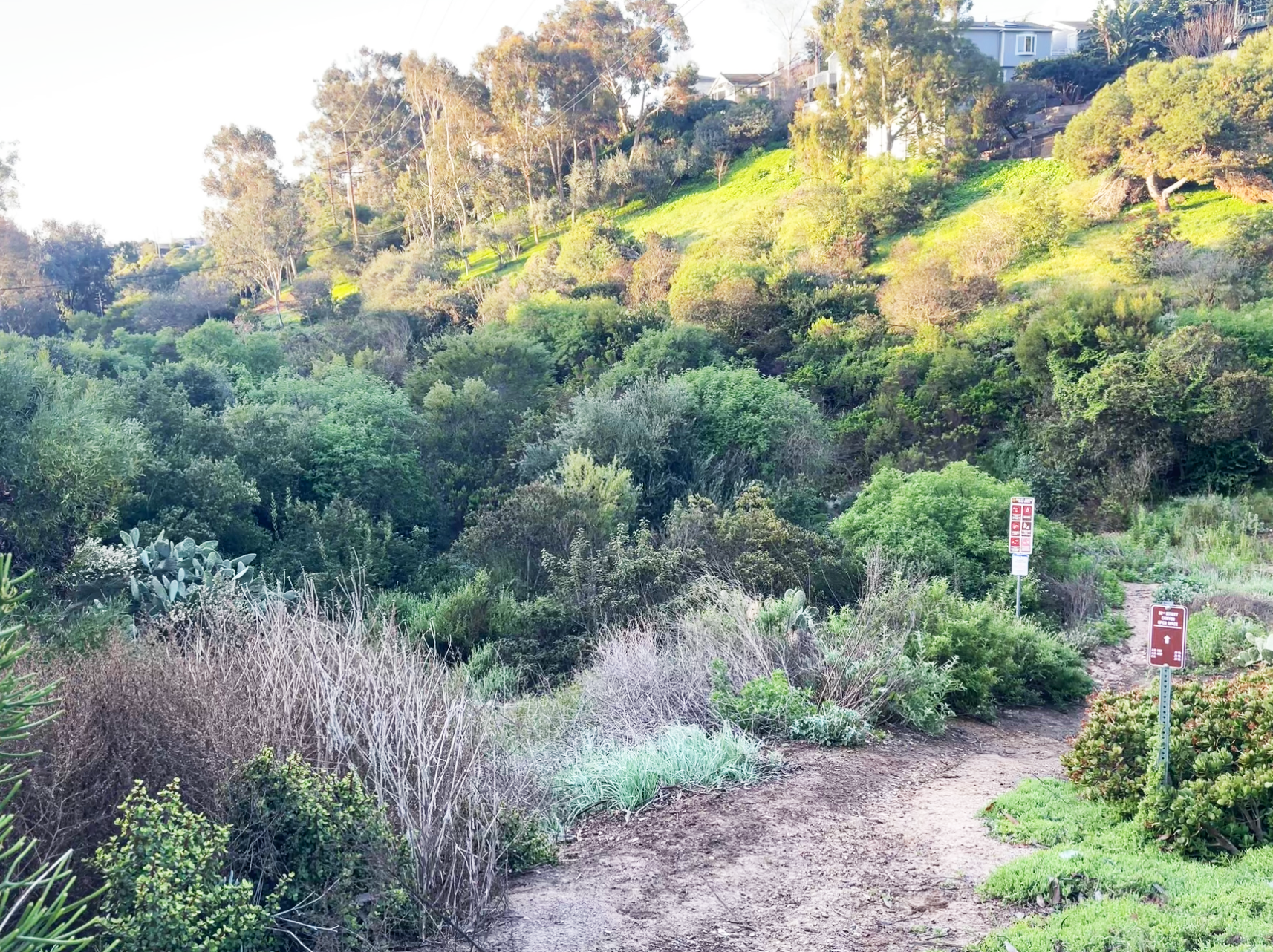 From the classroom to the canyon